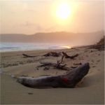 Wilderness beach